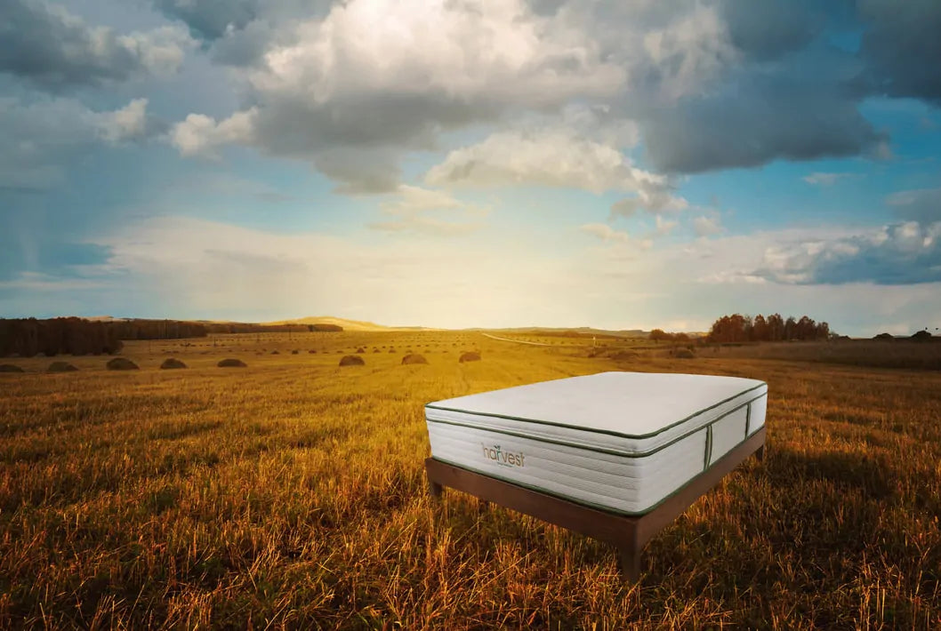The Harvest Green Organic Pillowtop Mattress is Greenguard gold certified and made using GOLS certified organic latex, made from 100% recycled steel, and GOTS certified organic cotton. Constructed with 1″ of organic latex at the bottom, 8″ coils, and 4″ of organic latex on the top, all encased in an organic cotton cover. A total of 13″ in thickness the Harvest Green Pillow Top Organic Mattress provides great support with added pressure relief for a softer, deeper feel. On a scale of 1 – 10 (with 10 bein