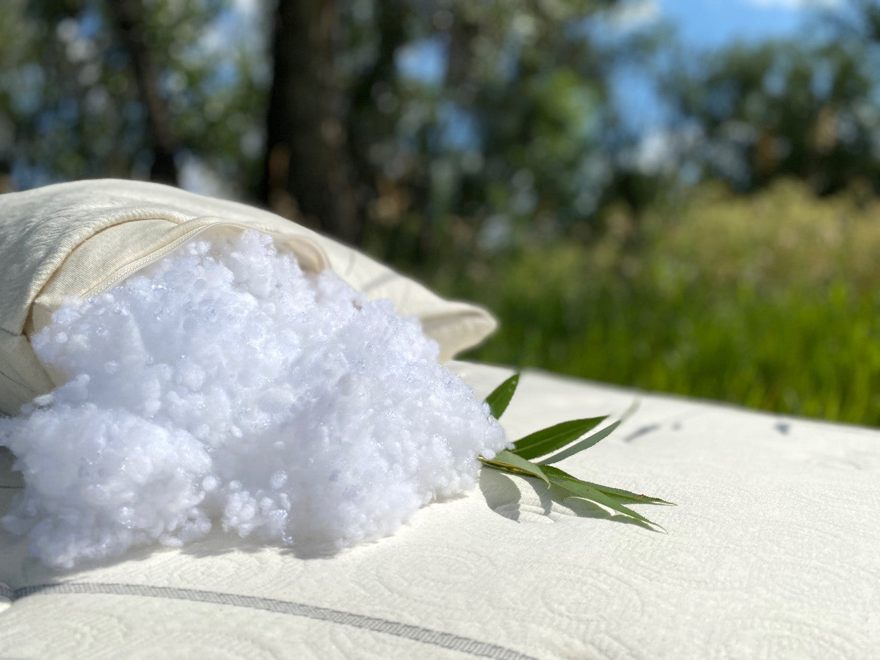 We blend the soft silky Tencel™ fibers with recycled polyester to create these soft clusters that cradle your head while you sleep. The clusters are made in the same way as our ever-popular Woolly Bolas, but have a softer silkier feel. This fiber is derived from Eucalyptus trees in FSC certified forests.