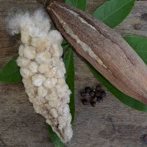 Our softest, and most popular organic pillow.
Organic kapok is in an organic cotton casing. This vegan pillow offers luxurious softness and “fluffability” without the feathers. It’s the perfect plant-based alternative to down and is considered our most plush (and popular) pillow.