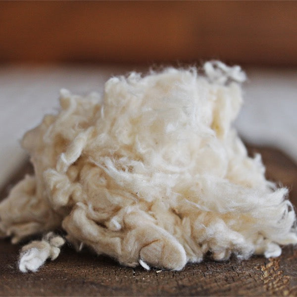 Our softest, and most popular organic pillow.
Organic kapok is in an organic cotton casing.  This vegan pillow offers luxurious softness and “fluffability” without the feathers. It’s the perfect plant-based alternative to down and is considered our most plush (and popular) pillow.