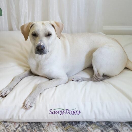 It’s always a good idea to have an extra pet bed cover for the Savvy Doggy in case of an accident, or to have one ready while the other is in the wash!
This pet bed cover is made of certified organic cotton flannel and is available in Natural or Black. It includes a sturdy zipper for convenience.