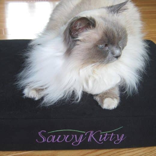 The perfect bed for your purr-fect friend.
The Savvy Kitty™ cuddles your cat in comfort. Pure coziness! Soft organic cotton flannel surrounds a core of purr-inducing natural latex.
Core: Formed or Shredded organic latex.
Inner lining: 5-ounce organic cotton canvas.
Zippered outer cover: 10-ounce organic cotton flannel.
Hand wash casing, cold water. Line dry.
Colors: Natural or Black.
One size: 15″ x 20"