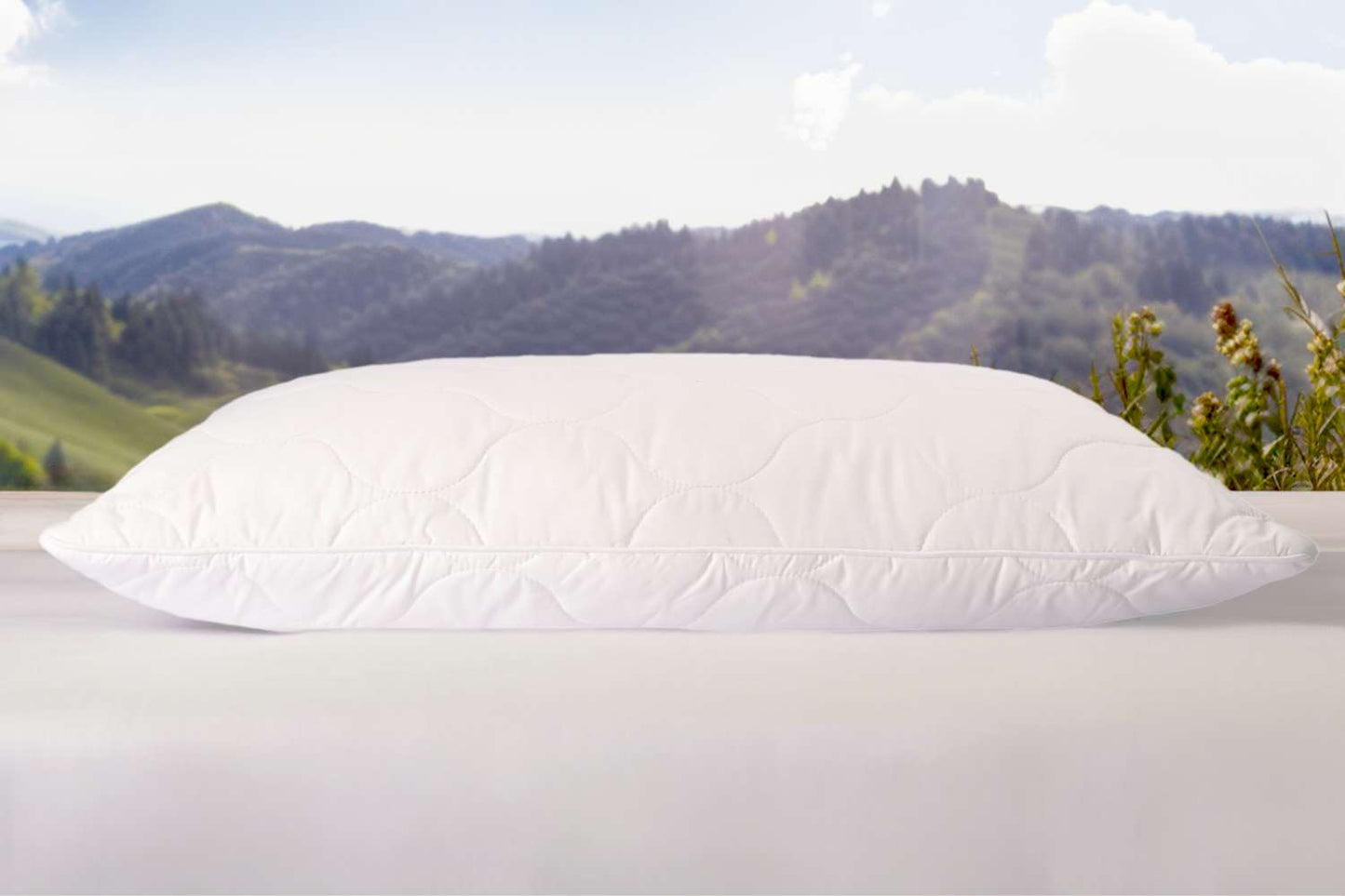 myLatex Pillow