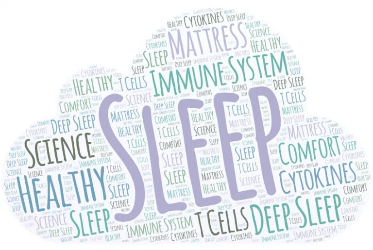 The Role Sleep Plays in Keeping Us Healthy: Sleep and Our Immune Function