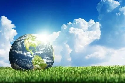 The Natural Sleep Store’s Earth Day Donation to PAN