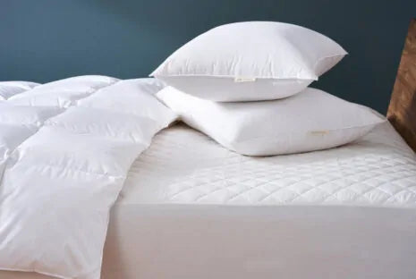 Organic Mattress Pads - What Type is Best For You?