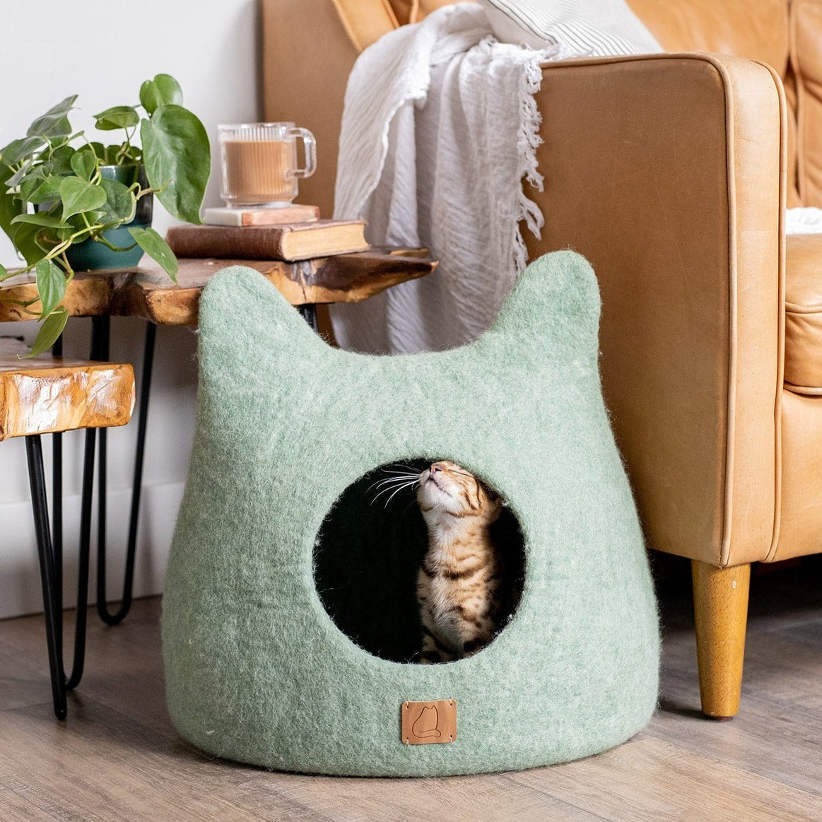 Cats