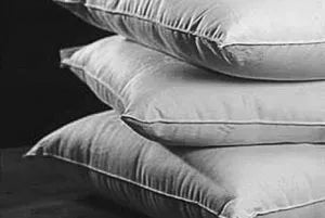 Natural and Organic Pillows