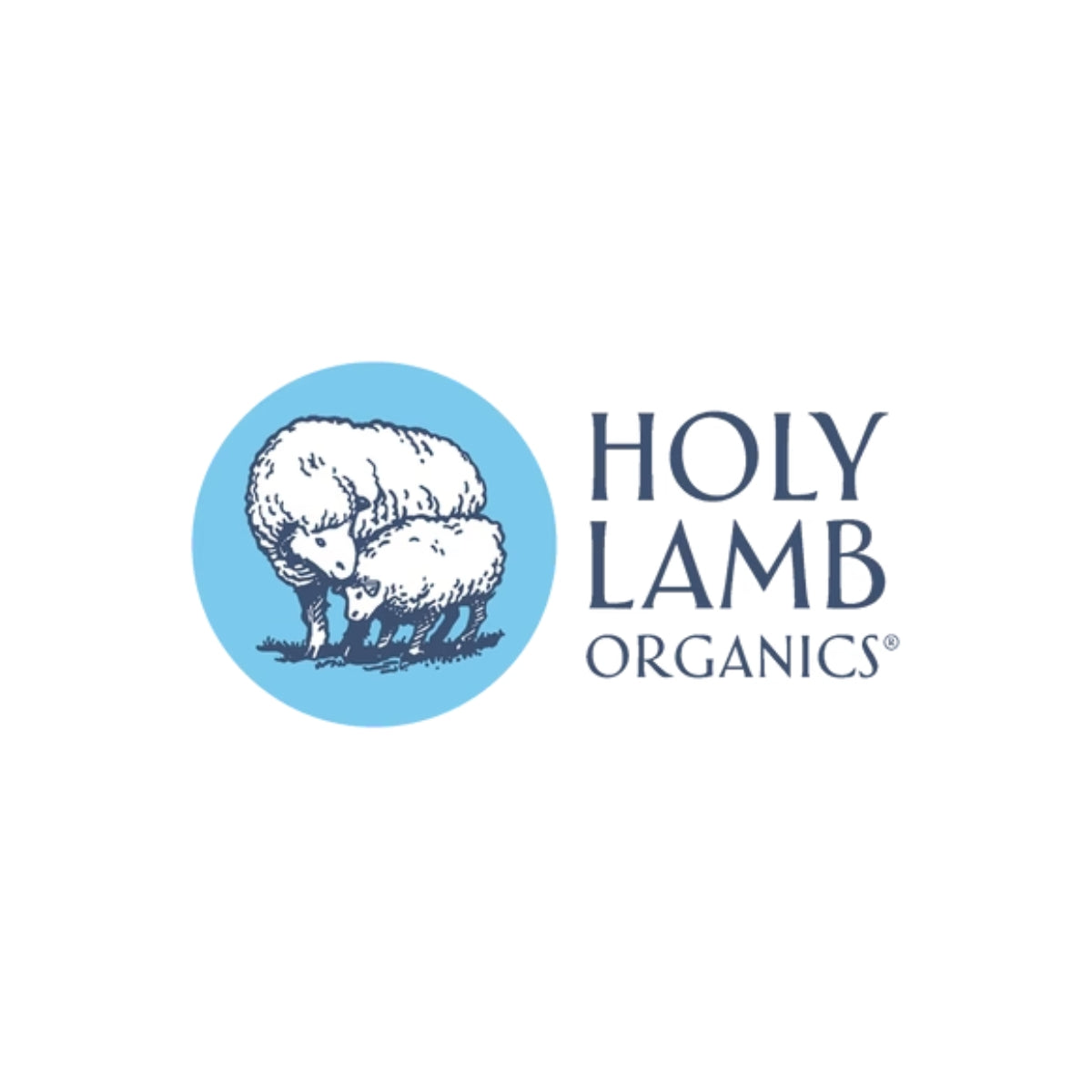 Holy Lamb