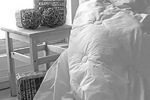 Organic Comforters, Duvets, and Quilts