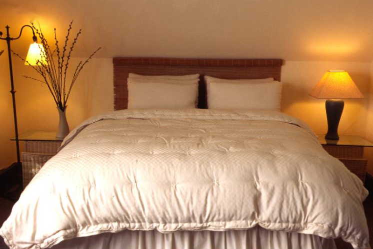 Designed to cater to individual sleep temperature needs, our innovative Natural Dual Weight Comforter will help alleviate the “too hot vs. too cold” discussion in your bedroom. Handcrafted to provide individualized comfort, warmth, and coziness. 