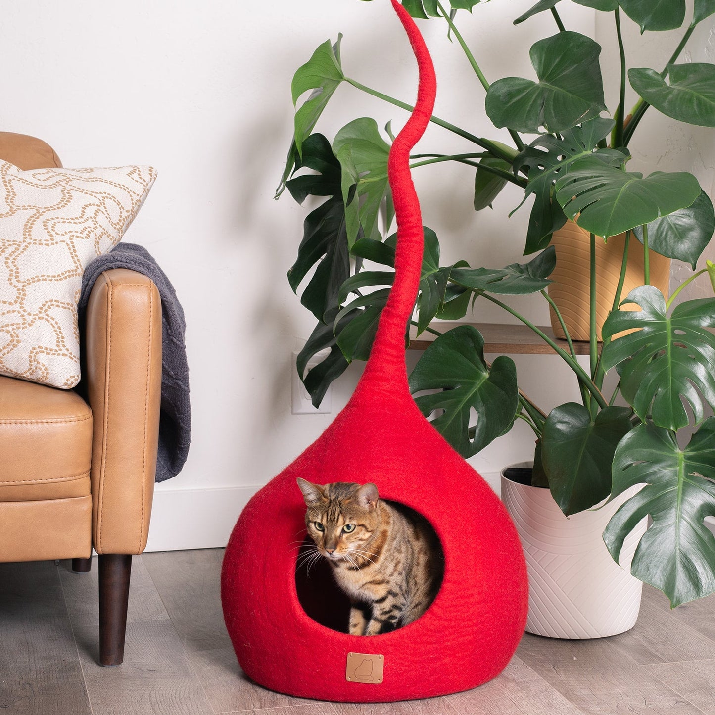 Chili Red | Tail Style Cave