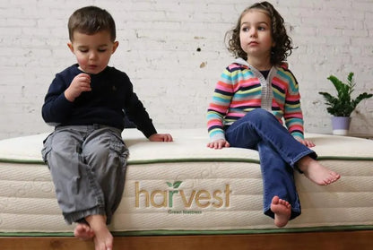 The Harvest Green Original Vegan Organic Mattress is Greenguard gold certified and made using GOLS certified organic latex, coils made from 100% recycled steel and GOTS certified organic cotton.   Constructed with 1″ of organic latex at the bottom, 8″ coils, and 2″ of organic latex on the top, all encased in an organic cotton cover.   On a scale of 1-10 with 10 being the firmest, this mattress would be rated at a 7, which is gentle, yet firm.  Best suited for anyone in need of natural cushioning and medium-