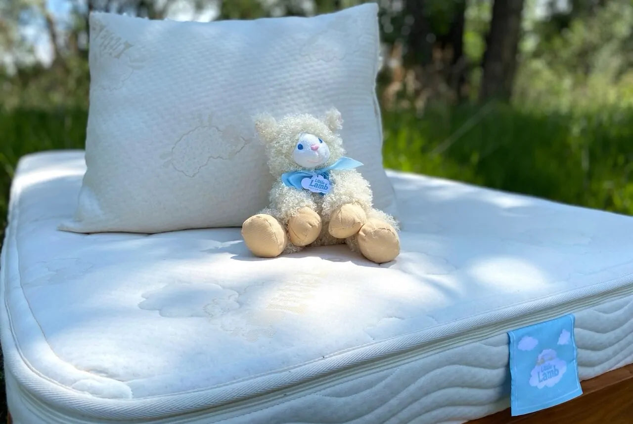 The Standard Mattress has an overall height of 7" and is made using 6 inches of medium-firm density all natural Dunlop latex and covered in 100% GOTS certified organic cotton quilted with American Dream® Wool. This mattress is the perfect base layer for older children. Made in the USA.

Features:&nbsp;Removable Zippered Cover, 100% Natural Dunlop Latex, 100% Organic Cotton, American Dream® Wool, Firm Support&nbsp;

Care instructions: This is a no-flip mattress. Spot clean minor stains using a natural deterg
