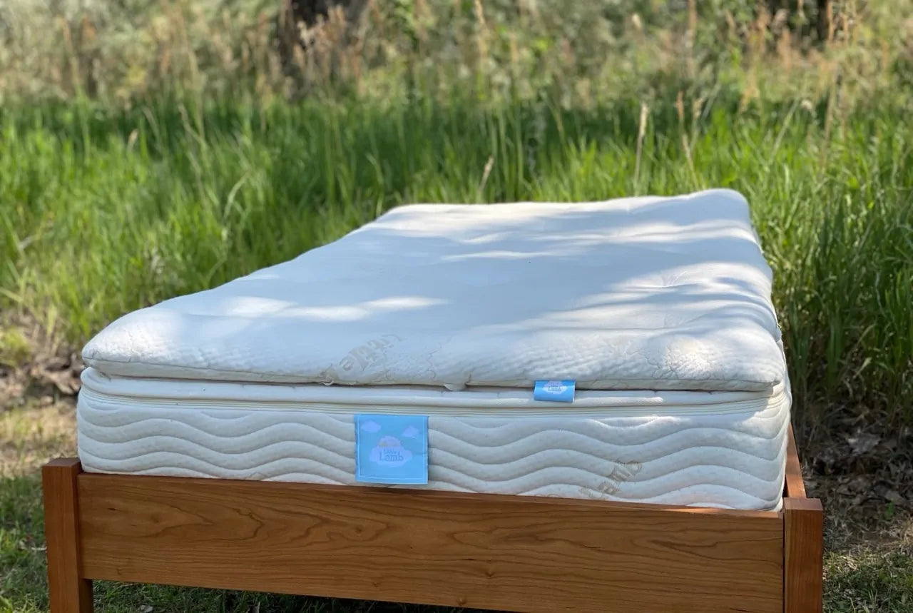 The Wool Pillow Top is Stage 2 in our 3 Stage "Grow with Me" system for kids who've reached 65 lbs. or more. It is made using our American Dream® Wool grown in America's heartland and carded in a 4th generation woman-owned woolen mill. Natural American Dream® Wool is processed using only natural detergents and conditioners. This topper is covered in 100% GOTS Certified Organic Cotton made in the USA. This plush topper is the perfect addition to our Little Lamb Kids' Mattresses.