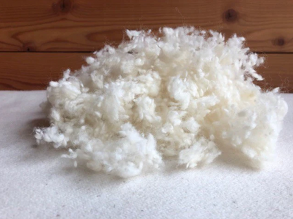 All the benefits of wool, plus soft, squishable support similar to a down-feather product. Our most versatile pillow, tiny puffs of wool encased in a zippered case of organic cotton sateen can be adjusted for maximum comfort.

Wool puffs have more substance than down, meaning they can take a shape and hold it. You can easily add or remove puffs to tailor this pillow to your growing child's support and comfort needs.