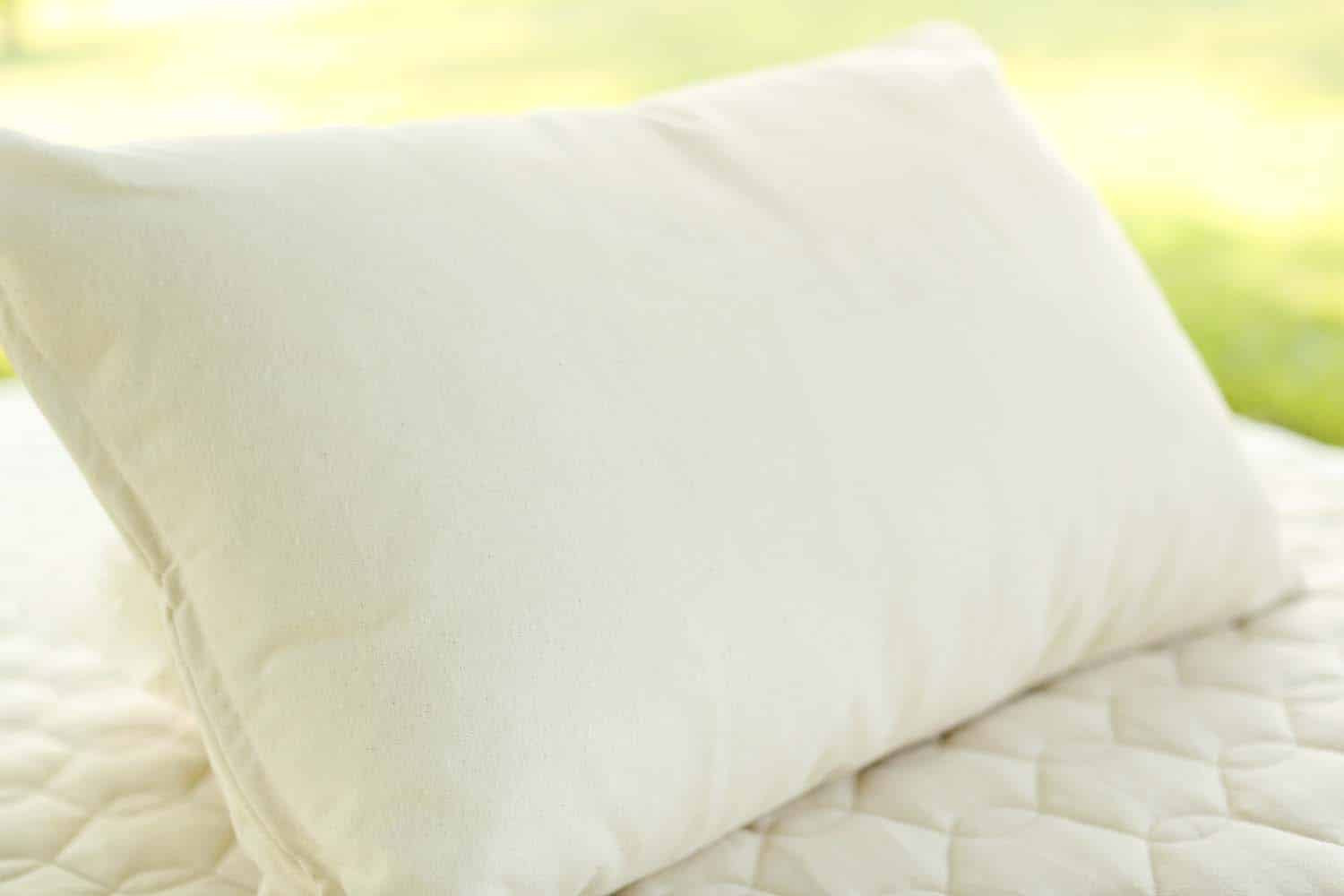 Our softest, and most popular organic pillow.

Organic kapok is in an organic cotton casing.  This vegan pillow offers luxurious softness and “fluffability” without the feathers. It’s the perfect plant-based alternative to down and is considered our most plush (and popular) pillow.