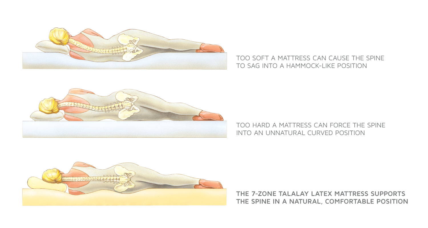 The inner core of the mattress is comprised of 7 zones ergonomically designed for uncompromising comfort. It features softer shoulder and hip areas for pressure point relief, and a firmer lower back area to provide bouyant support. Compared to springs in a mattress, latex is more motionless for a denser feel of support.