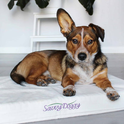 Because your good dog deserves the best.

The Savvy Doggy™ supports your pooch in pure comfort. Organic cotton flannel surrounds a sturdy core of pressure-relieving, snooze-inducing natural latex. Choose formed or shredded fill.
