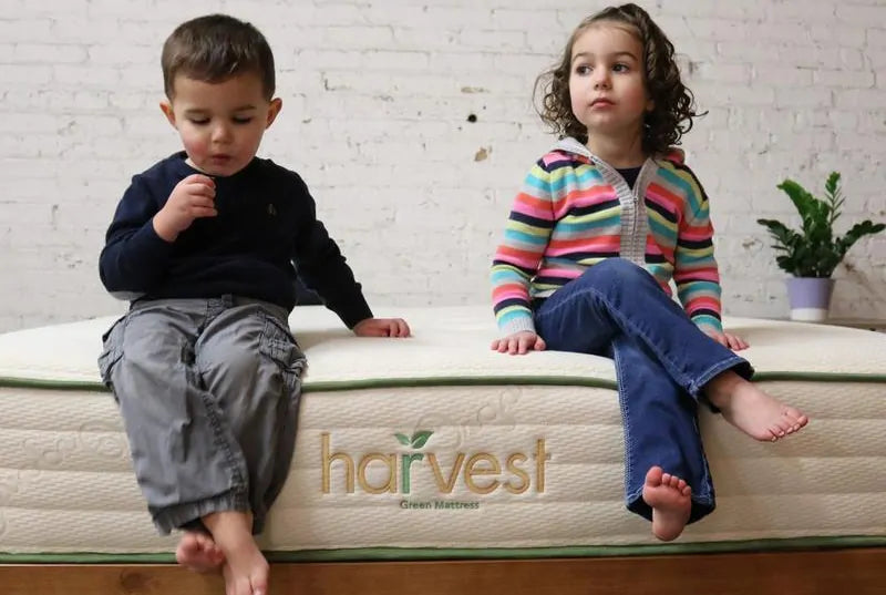 HARVEST GREEN ORIGINAL ORGANIC POCKET COIL MATTRESS