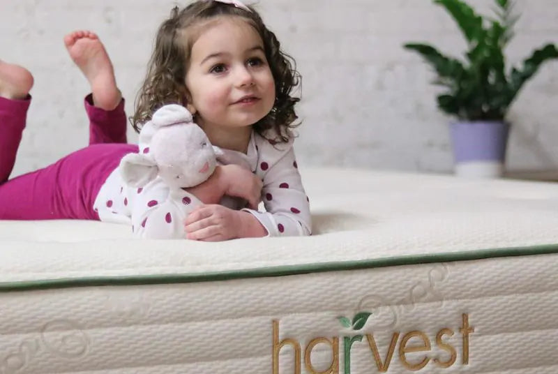 HARVEST GREEN ORIGINAL ORGANIC POCKET COIL MATTRESS