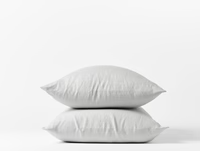 Organic Relaxed Linen Pillowcases by Coyuchi