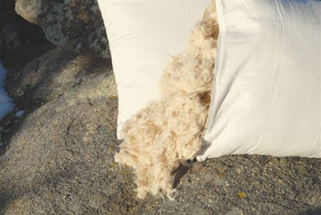 adjustable organic pillow